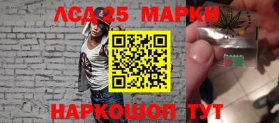 гидропоника Будённовск