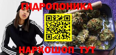 spice Бугуруслан