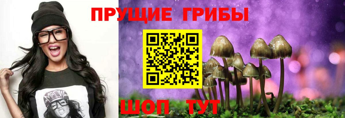 Пенза  Псилоцибиновые грибы мицелий  Псилоцибиновые грибы мицелий  Вход с VPN 